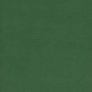 Papel de Regalo Fondo Liso Verde