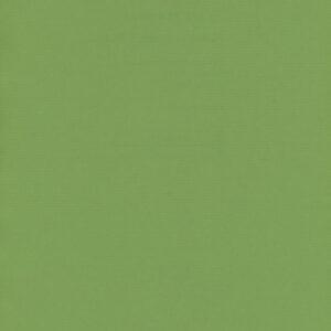 Papel de Regalo Fondo Liso Verde Claro